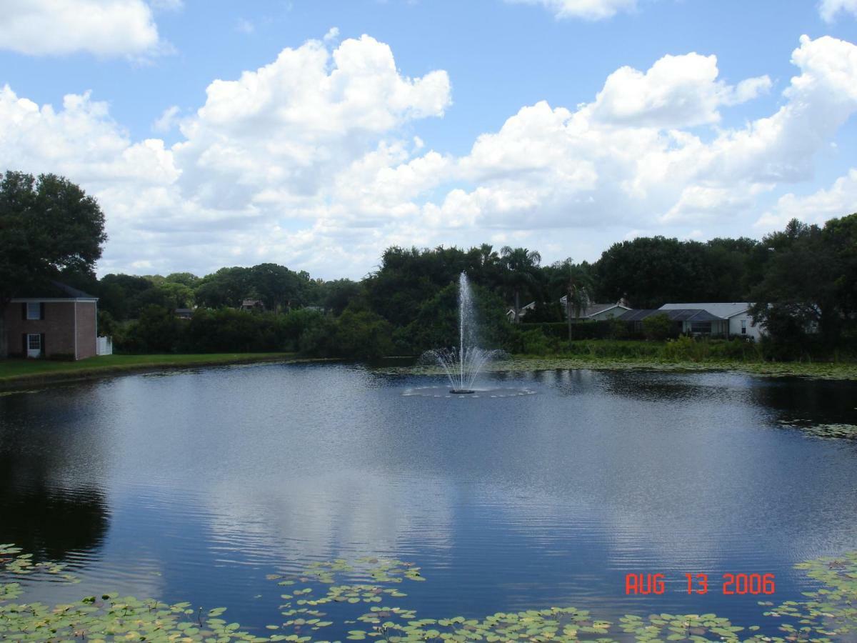 Beautiful Condo Close To Busch Gardens Tampa Ngoại thất bức ảnh